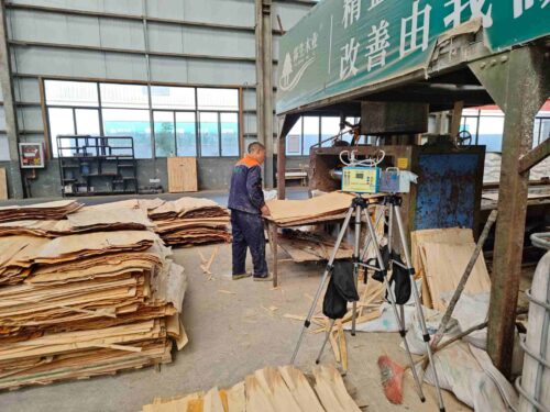 贵州天宇科技_职业卫生评价采样现场_贵州省霖生木业有限公司03